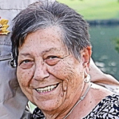 Teresa J. Vallelonga