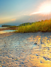 online payday loans charlotte nc