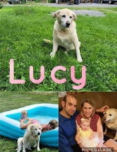 Lucy Dzugan