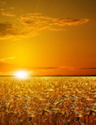 Patsy Sue Powell Wichita, Kansas Obituary