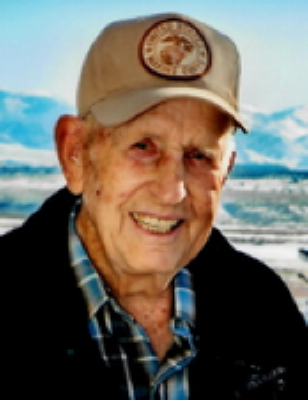 Robert Louis Ulmer Taylorville, Illinois Obituary