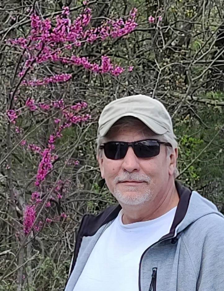 Quentin Brittle Memories Trees