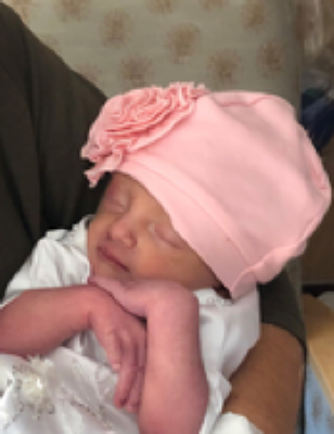 Ellie Madeline Bachman