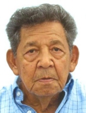 Manuel Vidal  Martinez
