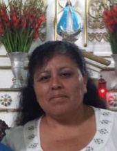 Maria Guadalupe De Castorena 22548921