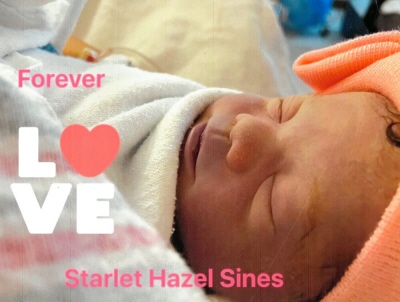 Photo of Starlet Sines