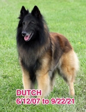 Dutch Kroll