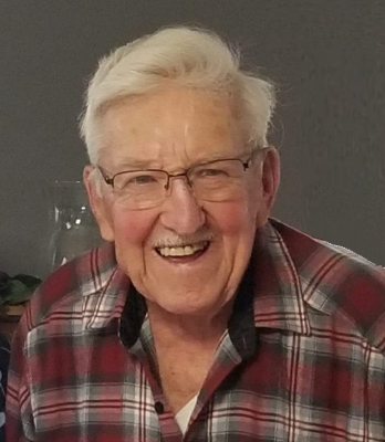Lemuel Johnson Lohnes New Germany, Nova Scotia Obituary