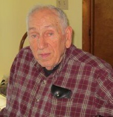John W. Procopio Hannibal, New York Obituary