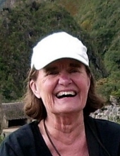 Carol Ann Whall