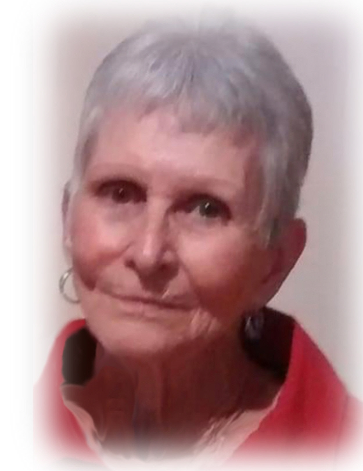 Sue Wolf Obituary