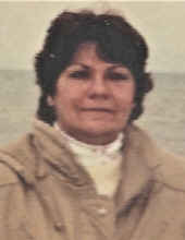 Cynthia J. Schaus