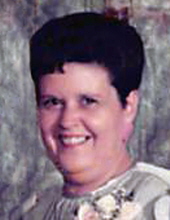 Patricia  Ann Mickelson