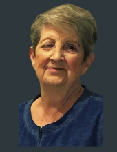 Lynda  Sue Sanderson