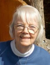 Nancy R. Chapin