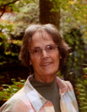 Shirley Ann Burroughs