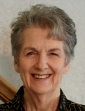 Donna Verle Schlicht