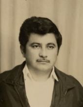 Luis S. Garcia-Ochoa