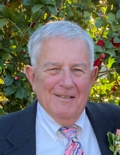 William "Mickey" Garnett Williamson, III 23719746