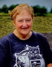 Karen J.  Radtke