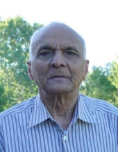 Mithabhai Joitaram Patel 23886587