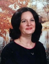 Susan Warner Dillon
