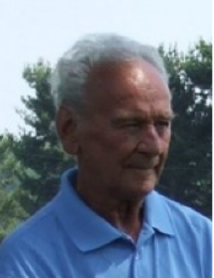 David B. Troyer Hartville, Ohio Obituary