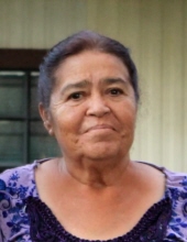 Maria D.  Ramirez
