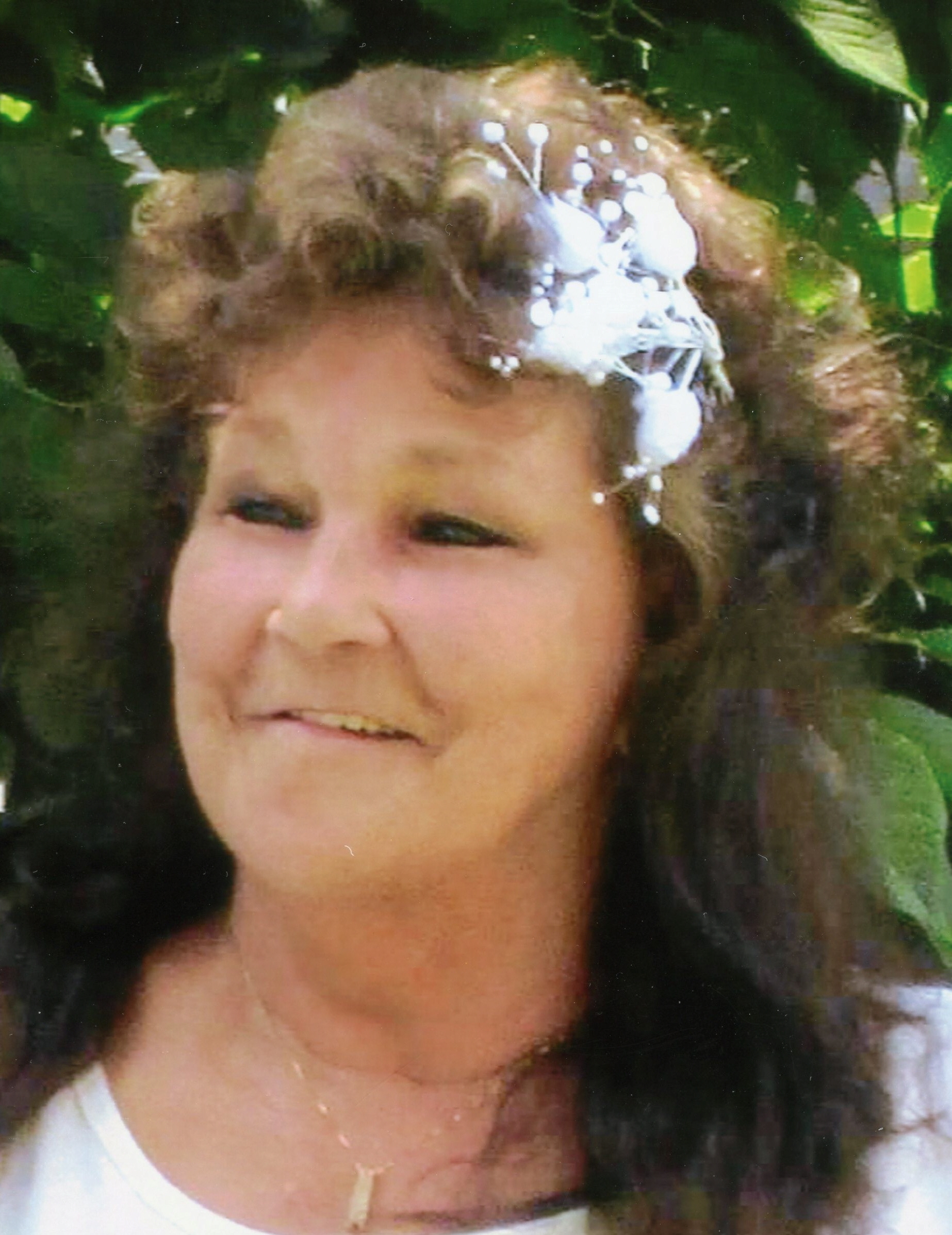 Nelson Frazier Funeral Home Obituariesstatistics - 2gm6h3u