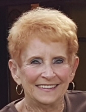 Phyllis Ann Degerstedt