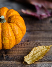 Pumpkin Fraley-Allnutt