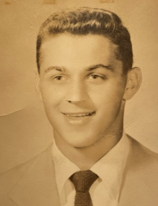 David Rich - Memories Trees