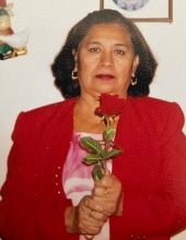 Maria del Carmen Diegueño Barrera