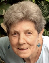 Patricia  Ann Haberman
