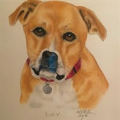Lucy Lovett-Bickley 24703611