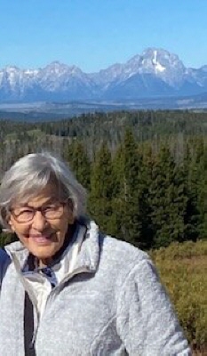 Photo of Barbara Stout