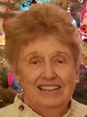 Ann Marie Skolnik Erie, Pennsylvania Obituary