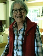 Susan H. Lang