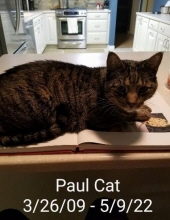 Paul Cat Moore