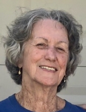 Patricia Lee Meahl