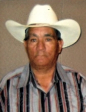 Javier Garibay Ochoa, Sr. 25144204