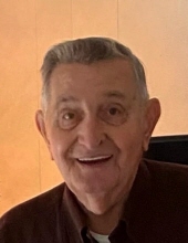 Victor D. Benedusi