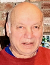 Robert  L. Micarelli
