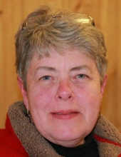 Carol Ann Doezema
