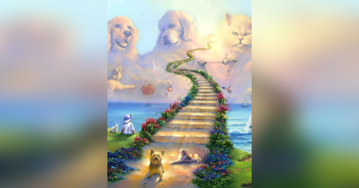 Obituary information for Shiloh Oliver