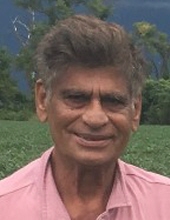 Zaki A. Sheikh, M.D.