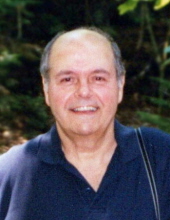 Louis A. Caruolo