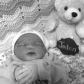 Baby Jaden Dominic Betford Anderson 25633032