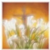 Inez G. Sellers 25807104