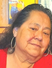 Juanita N Zapata